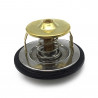 TERMOSTATO (SOLO) MAHLE TX 35 71