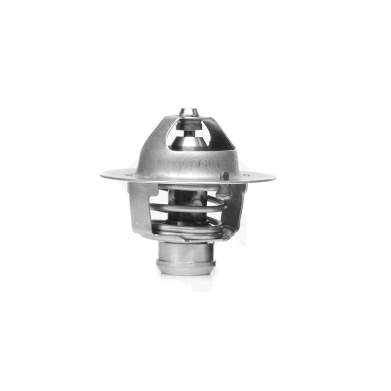 TERMOSTATO (COMPLETO) VALCLEI 5529.82