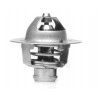 TERMOSTATO (COMPLETO) VALCLEI 5529.82