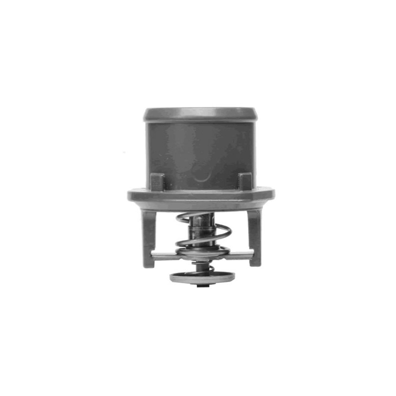 TERMOSTATO (COMPLETO) VALCLEI 5572.80