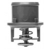 TERMOSTATO (COMPLETO) VALCLEI 5572.80