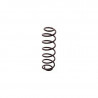 JUEGO DE RESORTES DE SUSPENSION (ESPIRALES) AG 072190K