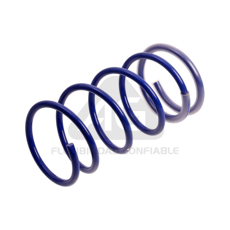 JUEGO DE RESORTES DE SUSPENSION (ESPIRALES) AG 191071K