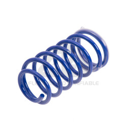 JUEGO DE RESORTES DE SUSPENSION (ESPIRALES) AG 041057K