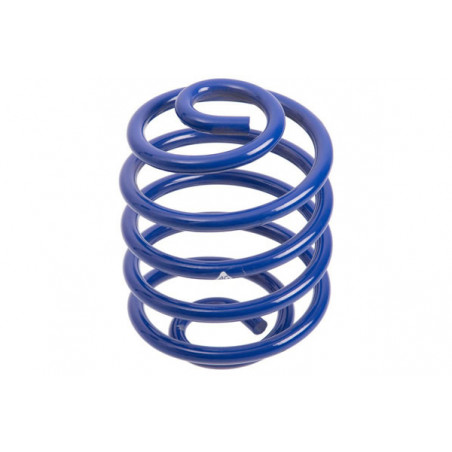 JUEGO DE RESORTES DE SUSPENSION (ESPIRALES) AG 2-041058K