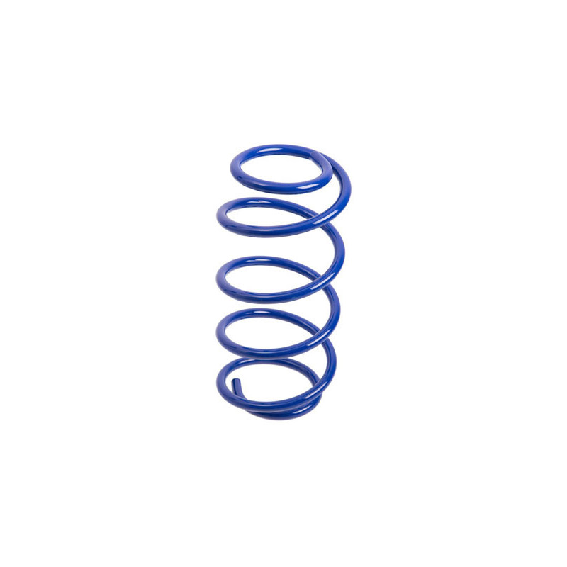 JUEGO DE RESORTES DE SUSPENSION (ESPIRALES) AG 041061K