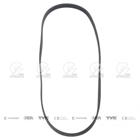 CORREA POLIV DE ACCESORIOS CONTINENTAL 5649/20