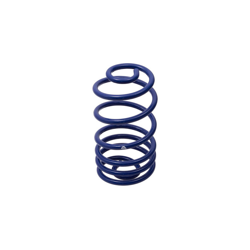 JUEGO DE RESORTES DE SUSPENSION (ESPIRALES) AG 041062K