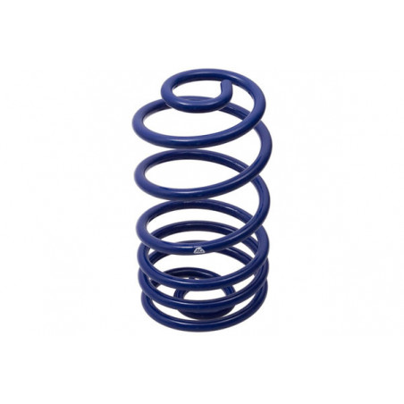JUEGO DE RESORTES DE SUSPENSION (ESPIRALES) AG 041062K