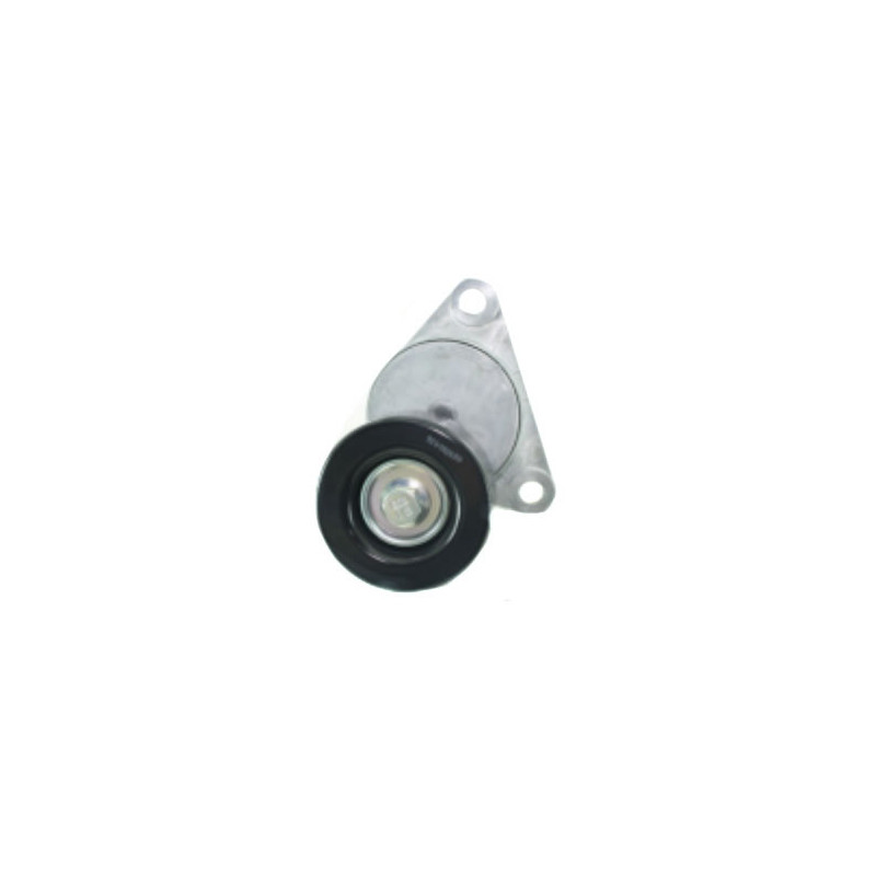 TENSOR DE CORREA DE ACCESORIOS SKF VKM 60014