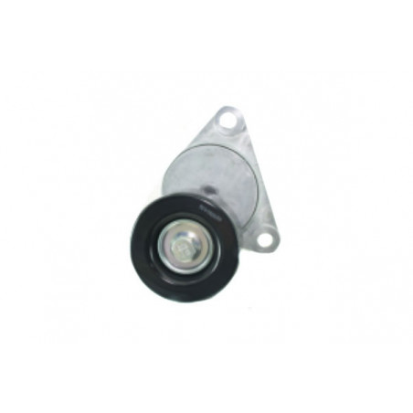 TENSOR DE CORREA DE ACCESORIOS SKF VKM 60014