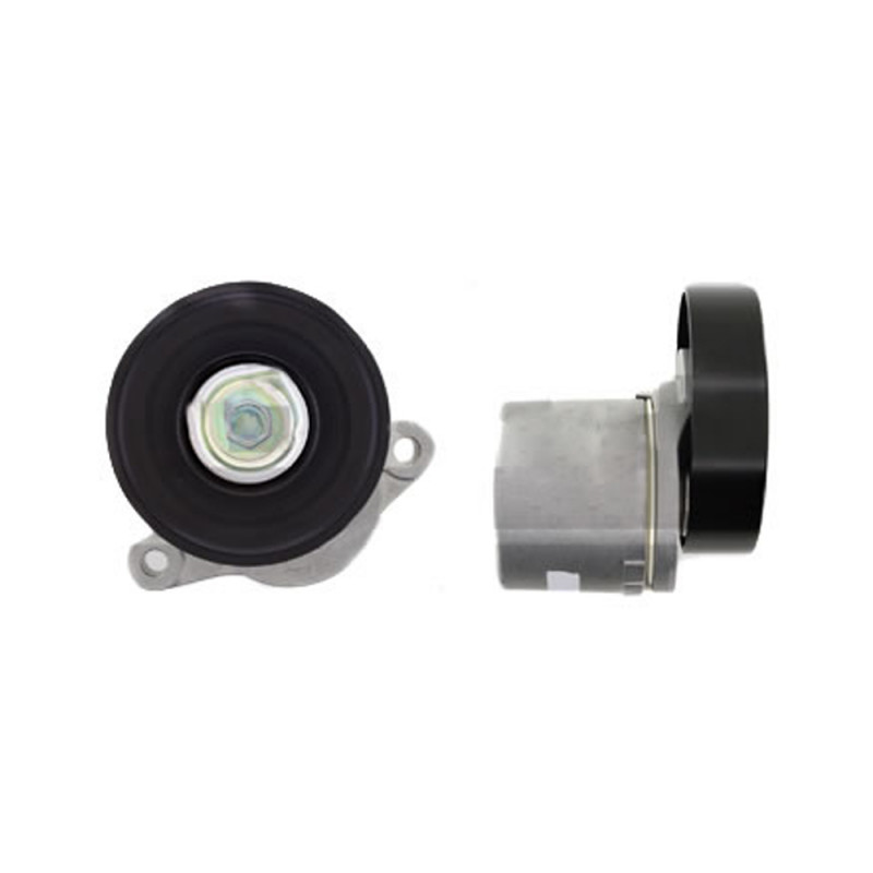 TENSOR DE CORREA DE ACCESORIOS SKF VKM 66005