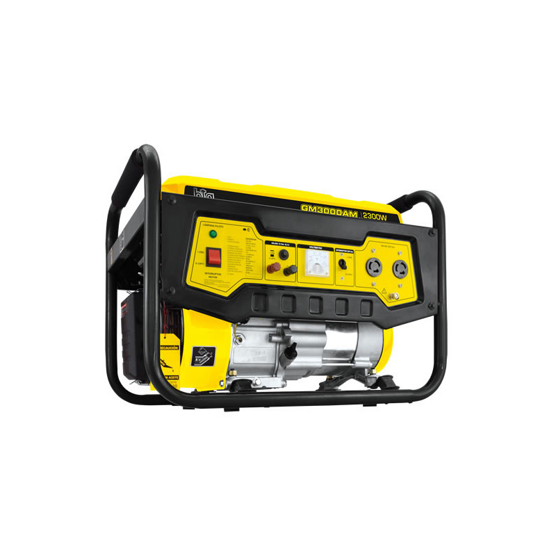 GRUPO ELECTROGENO BTA 521156