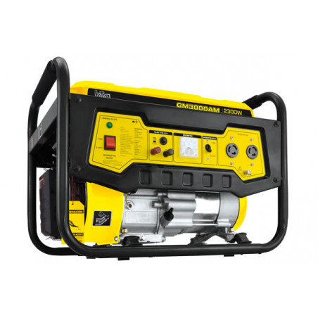 GRUPO ELECTROGENO BTA 521156
