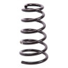 JUEGO DE RESORTES DE SUSPENSION (ESPIRALES) AG 071126R