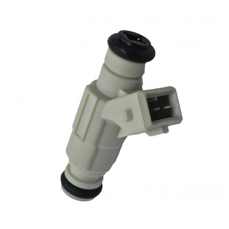 INYECTOR DE COMBUSTIBLE (NAFTA) HELLUX HE280155812
