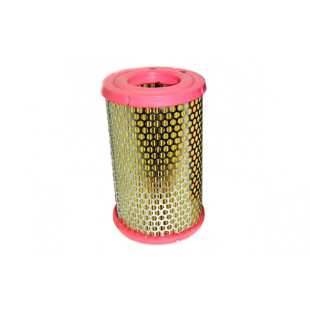 FILTRO DE AIRE ACDELCO 19347748