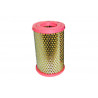 FILTRO DE AIRE ACDELCO 19347748