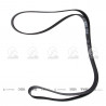 CORREA POLIV DE ACCESORIOS GATES 5655