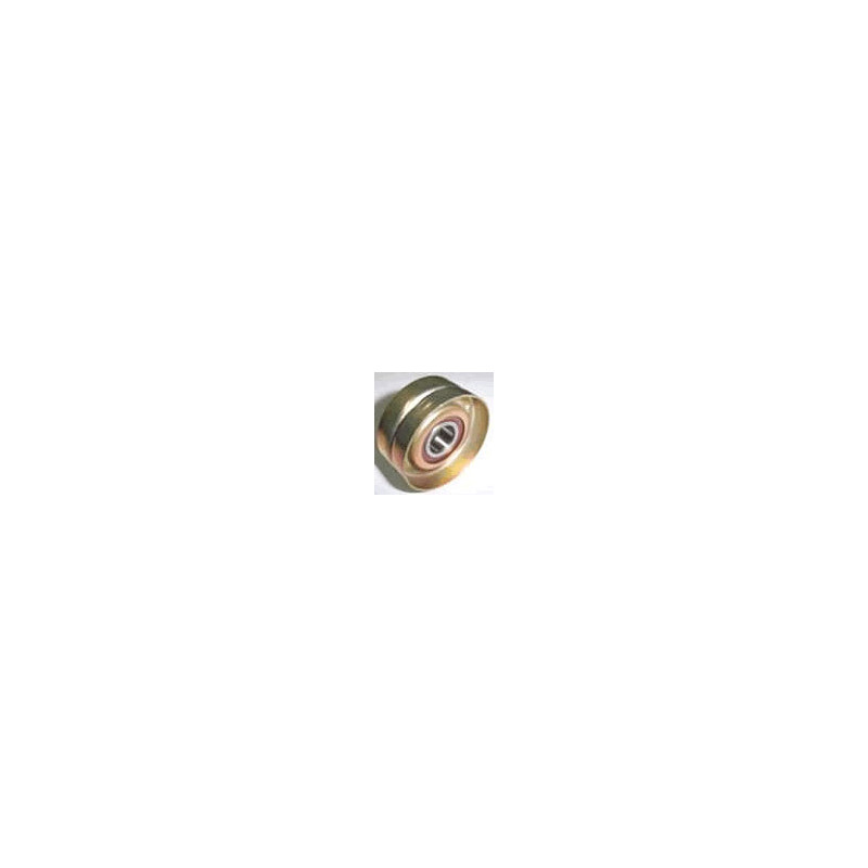 POLEA FIJA DE CORREA DE ACCESORIOS BTP 11118C