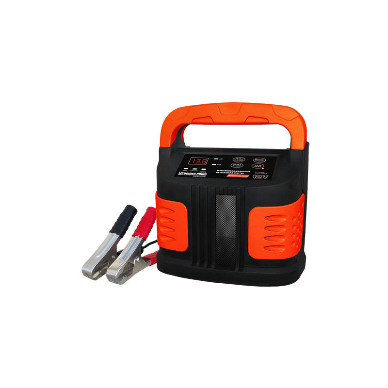 CARGADOR DE BATERIA DOWEN PAGIO 9991018