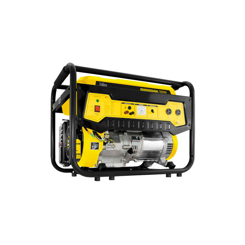 GRUPO ELECTROGENO BTA 521166