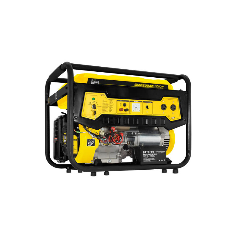 GRUPO ELECTROGENO BTA 521168