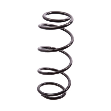 JUEGO DE RESORTES DE SUSPENSION (ESPIRALES) AG 251070
