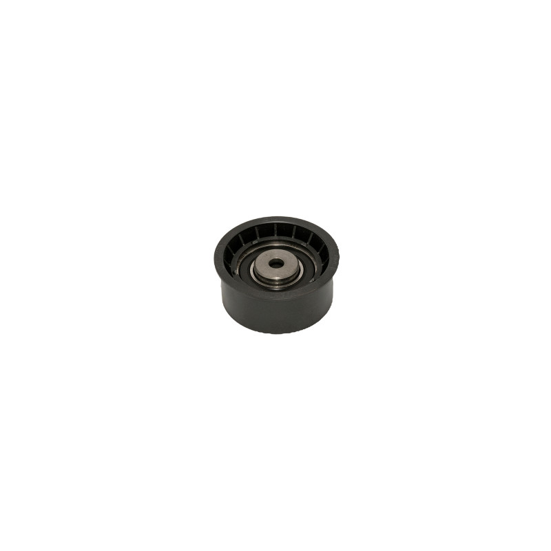 POLEA FIJA DE CORREA DE ACCESORIOS SKF VKM 25213 H