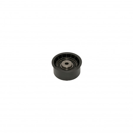 POLEA FIJA DE CORREA DE ACCESORIOS SKF VKM 25213 H
