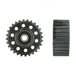 POLEA FIJA DE CORREA DE DISTRIBUCION SKF VKM 81002