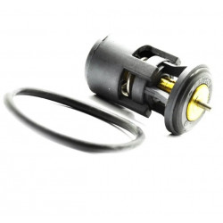 TERMOSTATO (COMPLETO) VALCLEI 1245.87