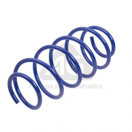JUEGO DE RESORTES DE SUSPENSION (ESPIRALES) AG 191079K