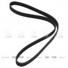CORREA POLIV DE ACCESORIOS CONTINENTAL 5119/20
