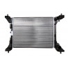 RADIADOR DE AGUA DENSO 894960010R1