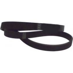 CORREA POLIV DE ACCESORIOS...