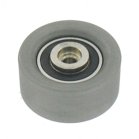 POLEA FIJA DE CORREA DE DISTRIBUCION SKF VKM 25260