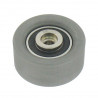 POLEA FIJA DE CORREA DE DISTRIBUCION SKF VKM 25260