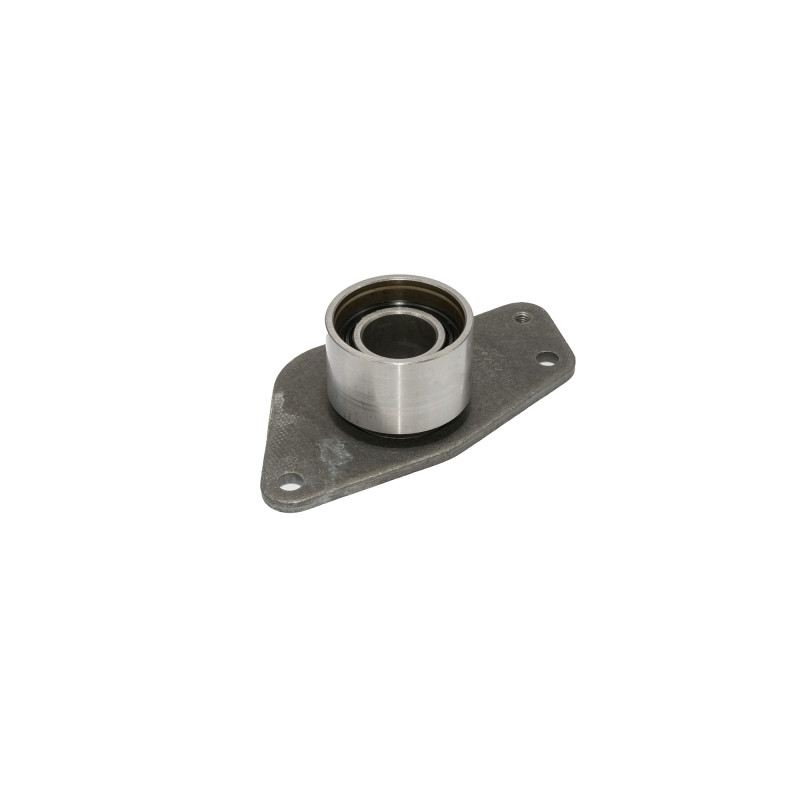 POLEA FIJA DE CORREA DE DISTRIBUCION SKF VKM 26102 H