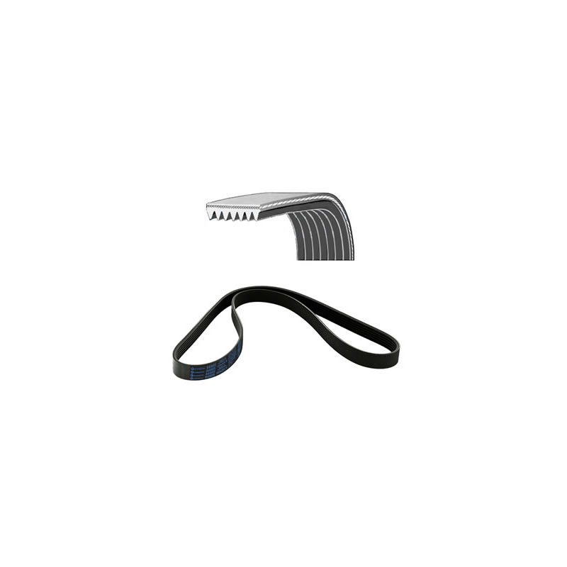 CORREA POLIV DE ACCESORIOS EUROREPAR 1643049380