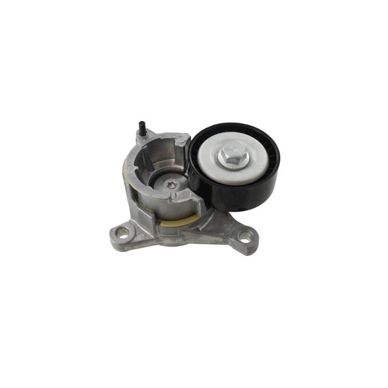 TENSOR DE CORREA DE ACCESORIOS SKF VKM 33019