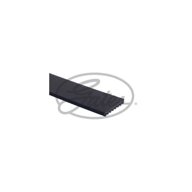 CORREA POLIV DE ACCESORIOS GATES 8PK2585-9
