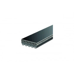 CORREA POLIV DE ACCESORIOS GATES 5PK1780-4