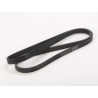 CORREA POLIV DE ACCESORIOS RENAULT 82 00 598 964