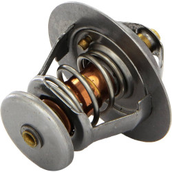 TERMOSTATO (SOLO) MAHLE TX...