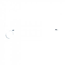 CABLE DE ACELERADOR FREMEC 80