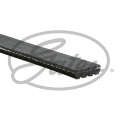 CORREA POLIV DE ACCESORIOS GATES 4PK925-9