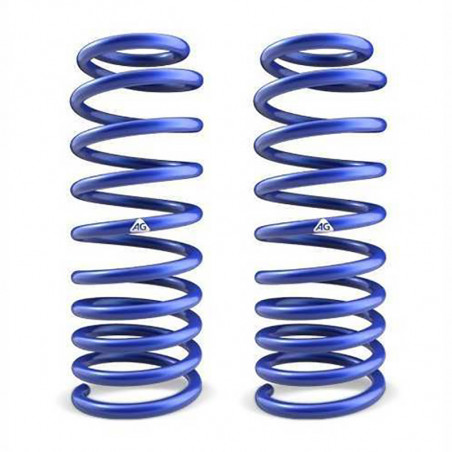 JUEGO DE RESORTES DE SUSPENSION (ESPIRALES) AG 041135K