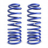 JUEGO DE RESORTES DE SUSPENSION (ESPIRALES) AG 041135K
