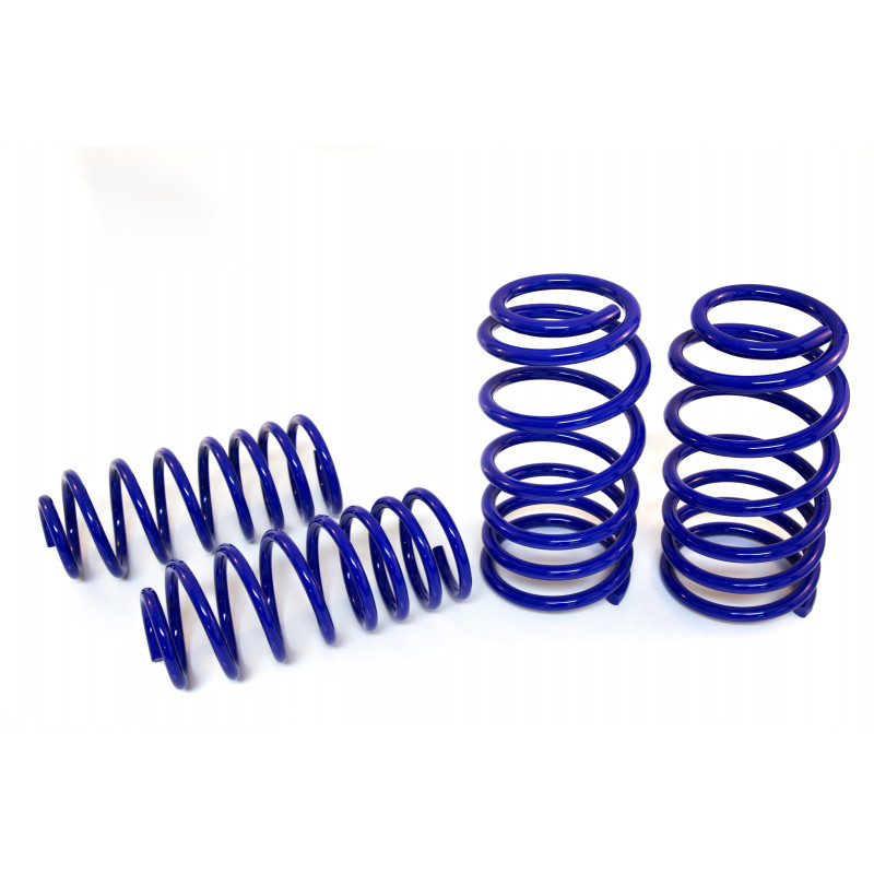JUEGO DE RESORTES DE SUSPENSION (ESPIRALES) AG 071145K